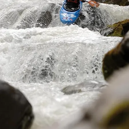 Apartamento Haus Ingrid *